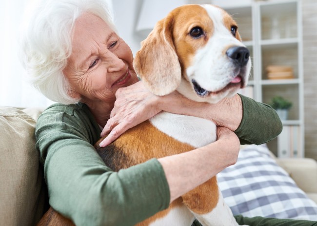 Betreuung für Senioren
